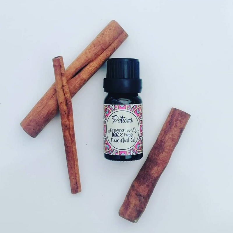 Potions Cinnamon Leaf Essential Oil 10ml - 100% Pure